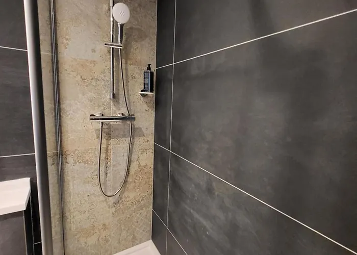 Accueil Pigalle Montmartre 3* باريس